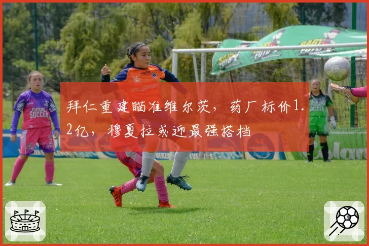 拜仁重建瞄准维尔茨,药厂标价1.2亿,穆夏拉或迎最强搭档