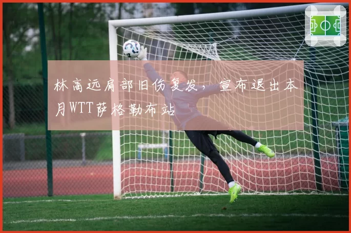 林高远肩部旧伤复发,宣布退出本月WTT萨格勒布站