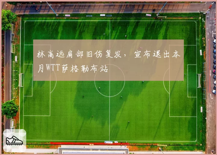 林高远肩部旧伤复发,宣布退出本月WTT萨格勒布站