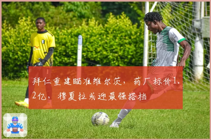 拜仁重建瞄准维尔茨，药厂标价1.2亿，穆夏拉或迎最强搭档